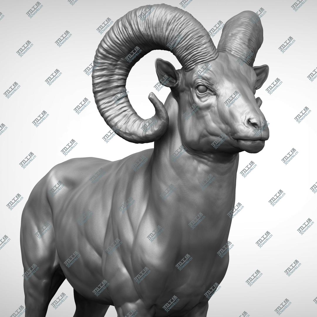 images/goods_img/2021040231/Bighorn sheep muflon model/1.jpg